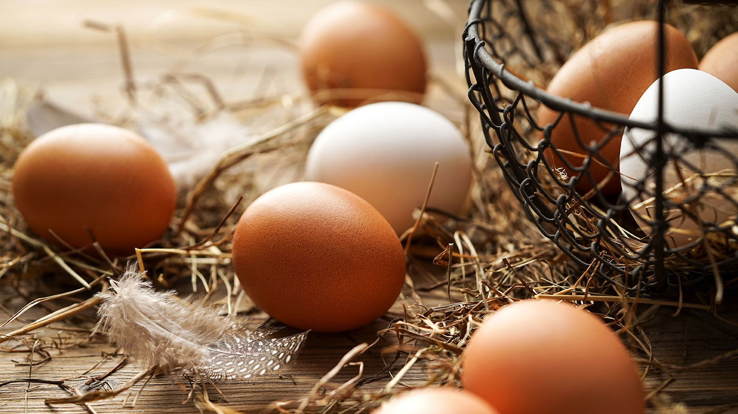 Ein Korb voll Eier: Sind Eier gesund oder nicht?